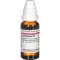 LYCOPODIUM D 6 Dilution, 20 ml