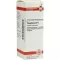 PHOSPHORUS D 6 Dilution, 20 ml