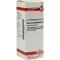 RHUS TOXICODENDRON D 6 Dilution, 20 ml
