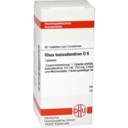 RHUS TOXICODENDRON D 6 tablets, 80 pcs