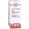 RHUS TOXICODENDRON D 6 tablets, 80 pcs