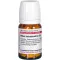 RHUS TOXICODENDRON D 6 tablets, 80 pcs