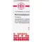 RHUS TOXICODENDRON D 12 globules, 10 g