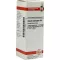 SECALE CORNUTUM D 6 Dilution, 20 ml