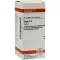 SEPIA D 4 tablets, 80 pcs
