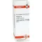 THUJA D 4 dilution, 20 ml