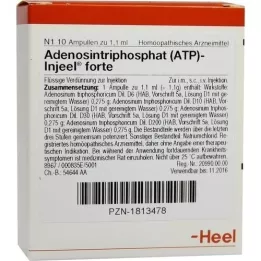 ATP Injeel forte ampoules, 10 pcs