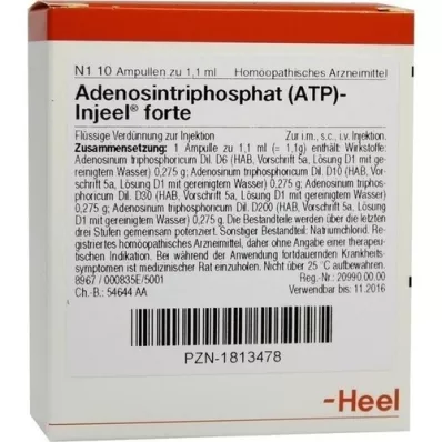 ATP Injeel forte ampoules, 10 pcs ATP Injeel forte ampoules, 10 pcs