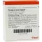 GINGIVA SUIS Injeel ampoules, 10 pcs