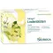 SIDROGA Linden blossom tea filter bags, 20X1.8 g