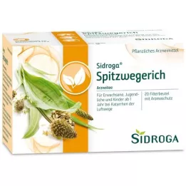 SIDROGA Ribwort plantain tea filter bags, 20X1.4 g