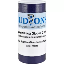 APIS MELLIFICA C 1000 single dose globules, 0.5 g