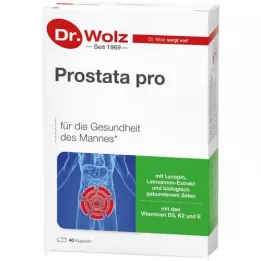 PROSTATA PRO Dr.Wolz capsules, 2x20 pcs