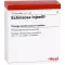 ECHINACEA INJEEL Ampoules, 10 pcs