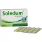SOLEDUM 100 mg gastro-resistant capsules, 50 pcs