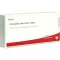 ARTICULATIO talocruralis comp. ampoules, 10X1 ml
