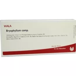 BRYOPHYLLUM COMP.Ampoules, 10X1 ml
