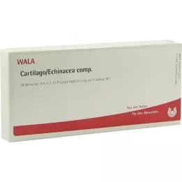 CARTILAGO/Echinacea comp. Ampoules, 10X1 ml