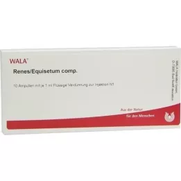 RENES/EQUISETUM comp. ampoules, 10X1 ml
