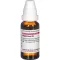 HYPERICUM D 6 Dilution, 20 ml