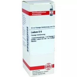 LEDUM D 6 Dilution, 20 ml