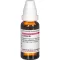 LEDUM D 6 Dilution, 20 ml