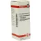 ROBINIA PSEUDACACIA D 3 dilution, 20 ml