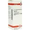 RUTA D 6 Dilution, 20 ml