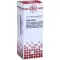 THUJA EXTERN Tincture, 20 ml