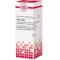 THUJA EXTERN Tincture, 20 ml