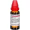 THUJA EXTERN Tincture, 20 ml