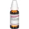 ABROTANUM D 1 Dilution, 20 ml