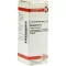 ABROTANUM D 2 Dilution, 20 ml