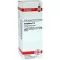 CAMPHORA D 4 dilution, 20 ml