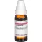 CAMPHORA D 4 dilution, 20 ml