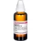 CAUSTICUM HAHNEMANNI D 4 dilution, 50 ml