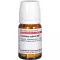 CORALLIUM RUBRUM D 6 tablets, 80 pcs