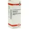 DULCAMARA D 6 Dilution, 20 ml