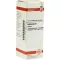 ECHINACEA HAB Mother tincture, 20 ml