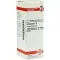 ECHINACEA HAB D 6 Dilution, 20 ml
