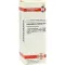 EQUISETUM ARVENSE D 4 dilution, 20 ml