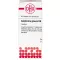 GALPHIMIA GLAUCA D 6 tablets, 80 pcs