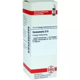 HAMAMELIS D 6 Dilution, 20 ml