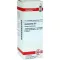HAMAMELIS D 6 Dilution, 20 ml
