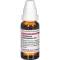 GNAPHALIUM POLYCEPHALUM D 3 dilution, 20 ml