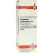 GNAPHALIUM POLYCEPHALUM D 4 dilution, 20 ml