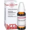 GNAPHALIUM POLYCEPHALUM D 4 dilution, 20 ml