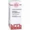 GNAPHALIUM POLYCEPHALUM D 4 dilution, 20 ml