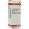 GENTIANA LUTEA Mother tincture, 20 ml
