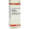 COLLINSONIA CANADENSIS D 2 Dilution, 20 ml